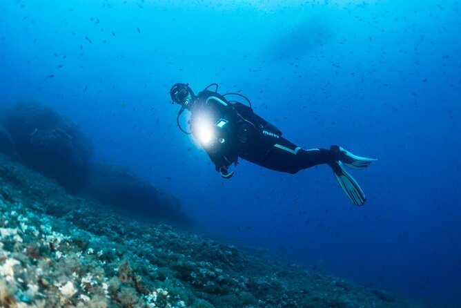 Two Morning Dives In Gozo For Certified Diver Overview Of The Experience