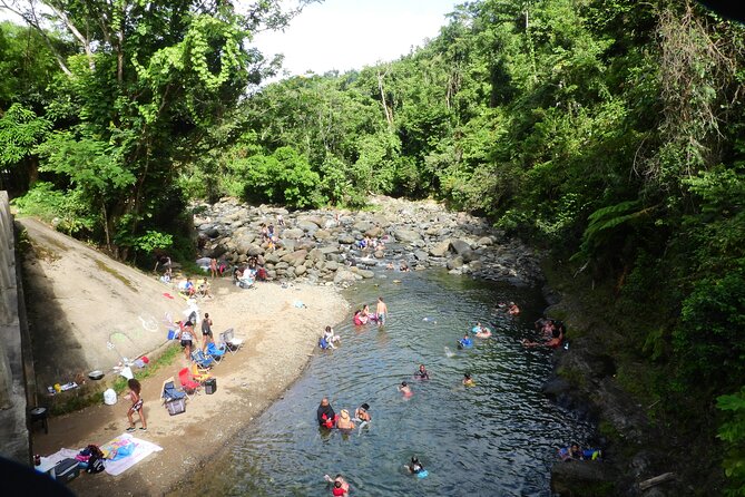 USDA El Yunque National Forest and Luquillo Beach Tour - Itinerary Highlights