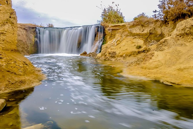 Valley Of Whales And Wadi El Rayan Water Falls Day Tour From Cairo Tour Overview