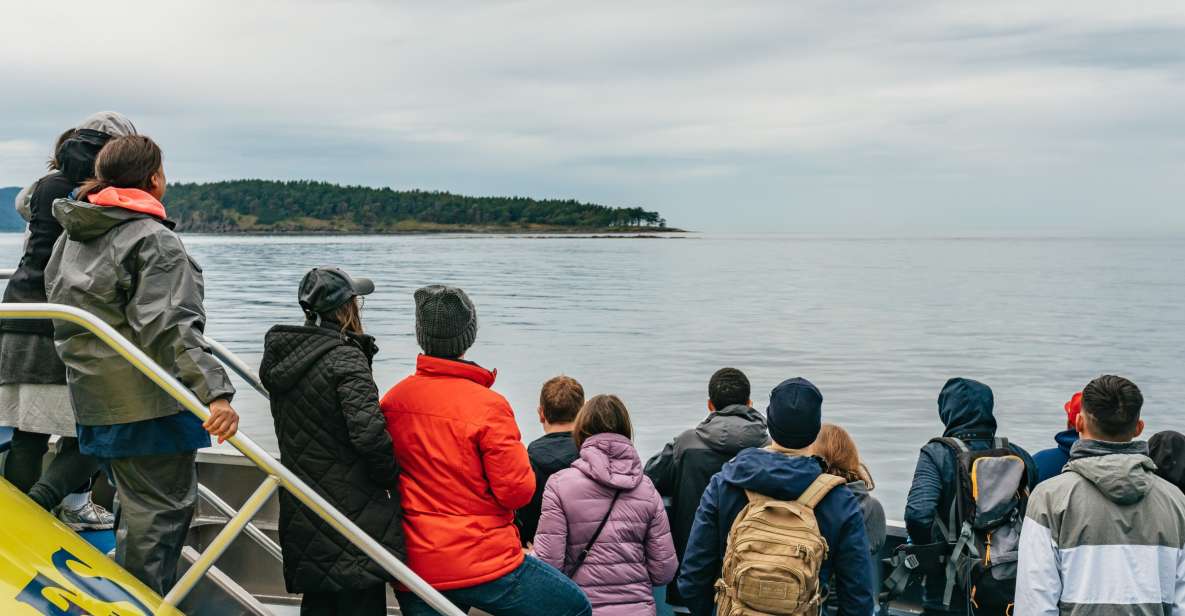 Vancouver, BC: Whale Watching Tour - Tour Details