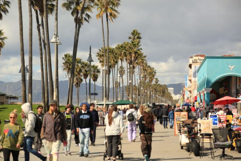 Venice California: Half Day Tour In Open Air Bus Tour Overview