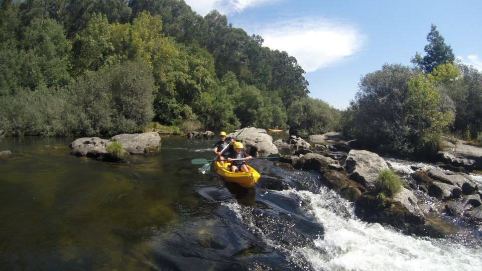 Viana Do Castelo: Kayak Tour at Lima River - Experience Description