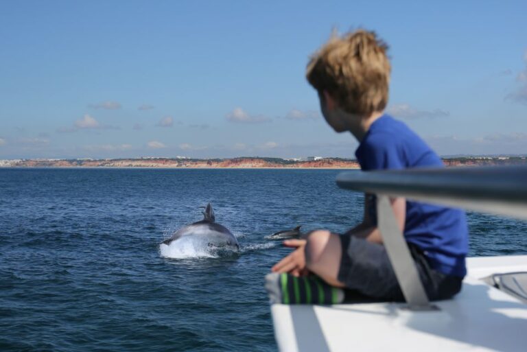 Vilamoura: Boat Tour Dolphin Quest Tour Overview