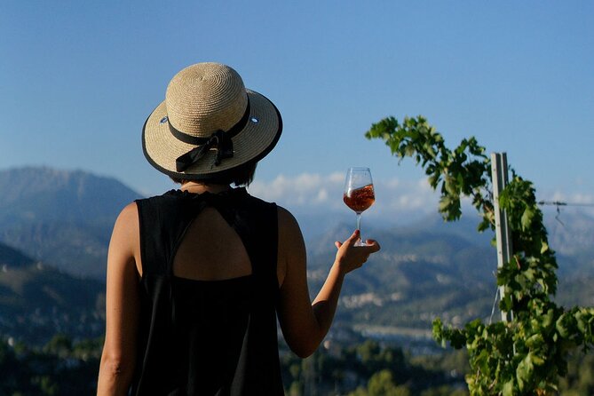 Vineyard Tour With Wine Tasting Within Nice City Borders Stunning Views Of The Mediterranean