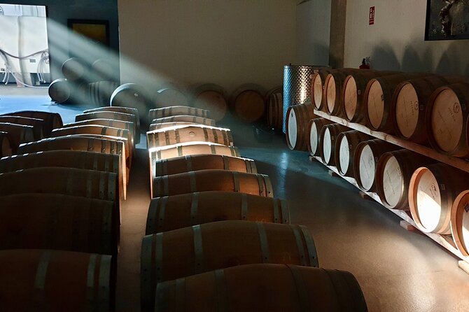 Visit And Wine Tasting At The Territorio Luthier Winery Overview Of Territorio Luthier Winery