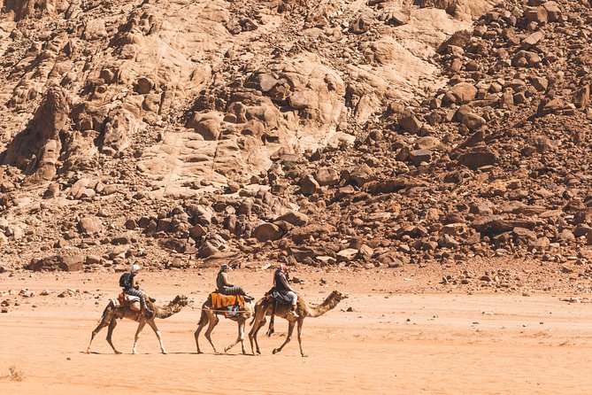 Wadi Rum: Camel Trek Adventure Overview Of The Camel Trek Tour