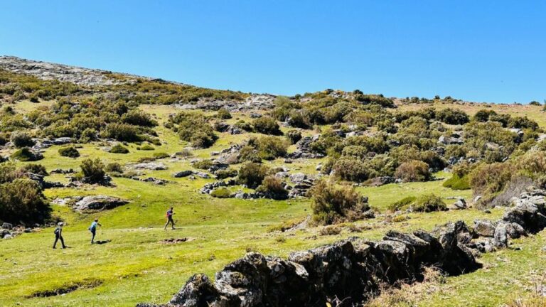 Walk & Picnic Peneda Gerês National Park Guided Tour Duration And Activities