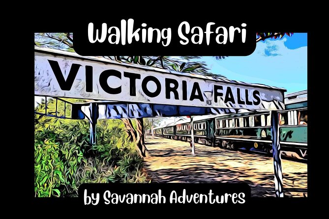 Walking Safari Of Victoria Falls Town Victoria Falls Town Overview