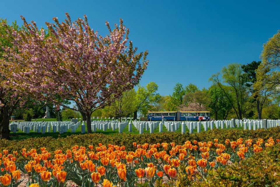 Washington, DC: Old Town Hop-On Hop-Off Trolley City Tour - Tour Overview and Pricing