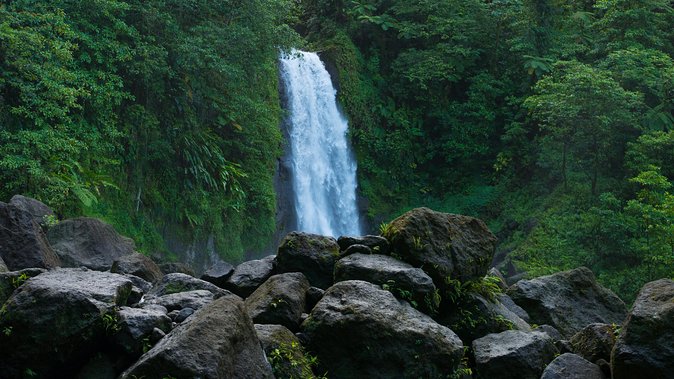 Waterfall And Champagne Reef Adventure Trip Overview