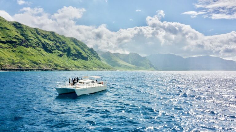 West Oahu: Swim With Dolphins Catamaran Cruise Activity Overview