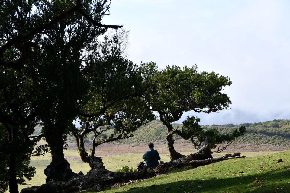 West Tour Madeira by Overland - Tour Overview