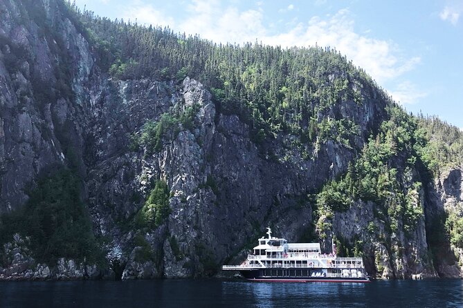 Whale Watching Cruise From Tadoussac Or Baie Ste Catherine Cruise Options And Amenities