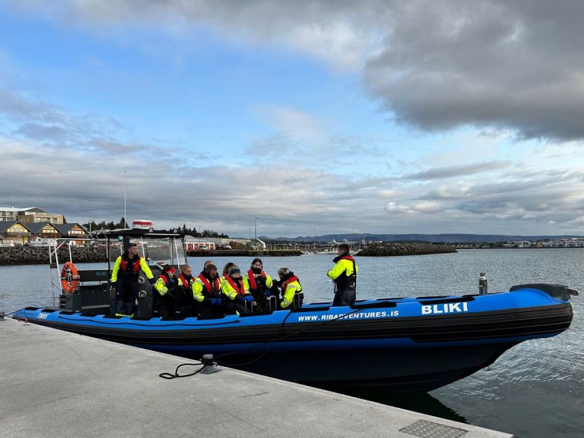 Whale Watching - RIB Boat Adventure - Boat Features