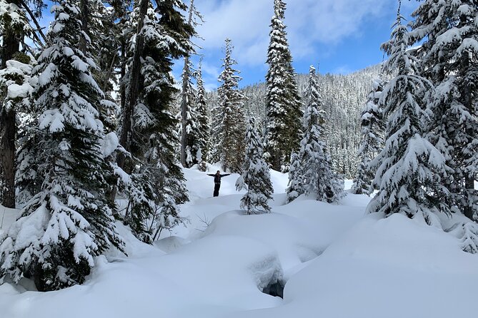 Whistler Lost Lake Snowshoeing And Village Tour Overview Of The Experience