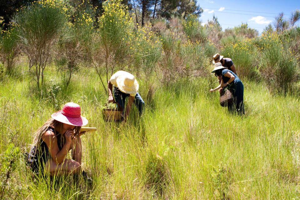 Wild Experience: Discover, Cook & Eat the Local Wild Flora - Overview