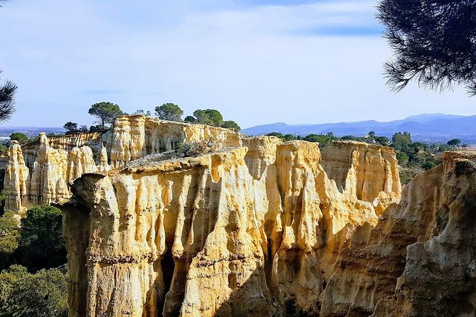 Wild Organs: Grand Landscape, Plants, Geology, Birdsongs - Tour Overview