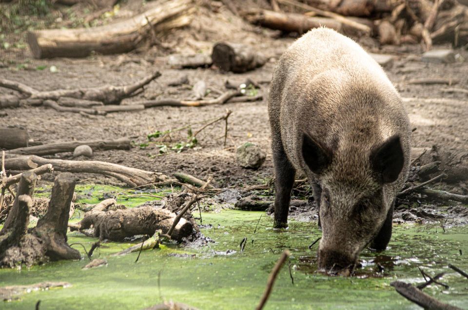 Wildlife Park Entry Ticket - Ticket Details and Pricing