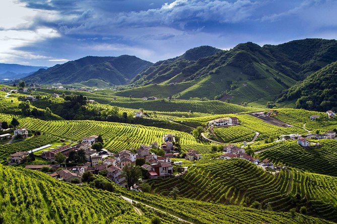 Wine And Food Tour In The Prosecco Hills From Venice Tour Overview