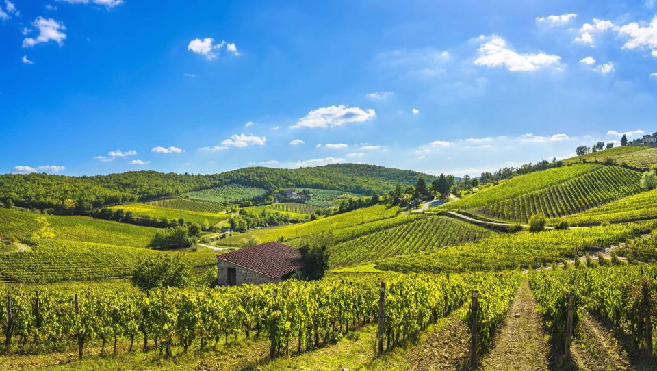 Wine Tasting in Brolio Castle Gardens From Florence by Car - Tour Details and Highlights