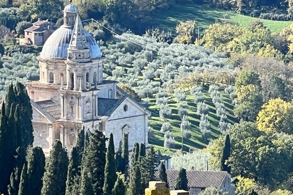 Wine Tasting in Montepulciano and Vineyards Private Tour - Tour Details