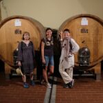 Wine Tour With Sommelier In A Winery Near Cagliari Tour Overview