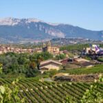 Wine Trails & Medieval Tales: Bilbao's Heartland Tour Wine Heritage Experience