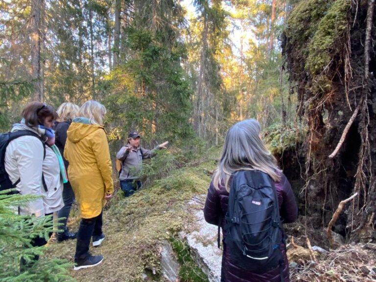 Wolf And Wildlife Tracking In Sweden Overview Of The Experience