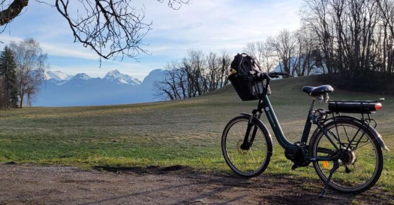 Yakapedaler: Bike Rental Tour With the Annecy Lake