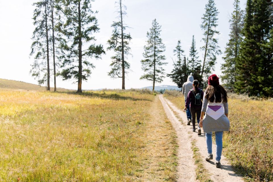 Yellowstone & Grand Tetons: 4-Day/3-Night Wildlife Adventure - Tour Highlights