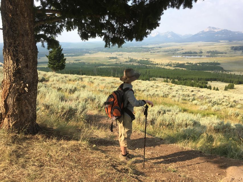 Yellowstone: Winter Wildlife & Snowshoe Adventure - Iconic Spots of Yellowstone