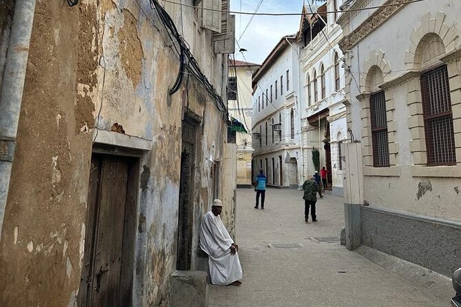 Zanzibar Stone Town Highlight Walking Tour - Tour Overview