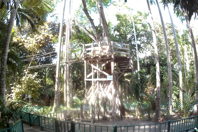 Zip Line Over The Dunns River Falls Inclusions And Accessibility