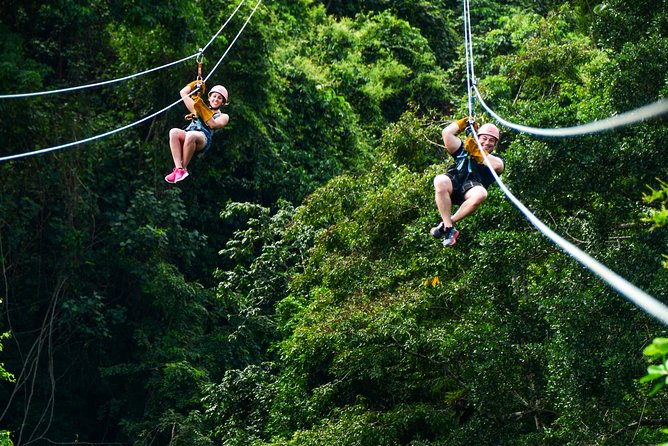 Zipline Adventure From Punta Cana Overview Of The Zipline Adventure