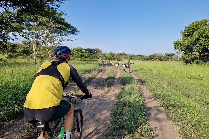 2 Days Cycling Safari To Lake Mburo National Park - Key Points