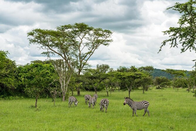 2 Days Popular Safari to Lake Mburo National Park - Key Points