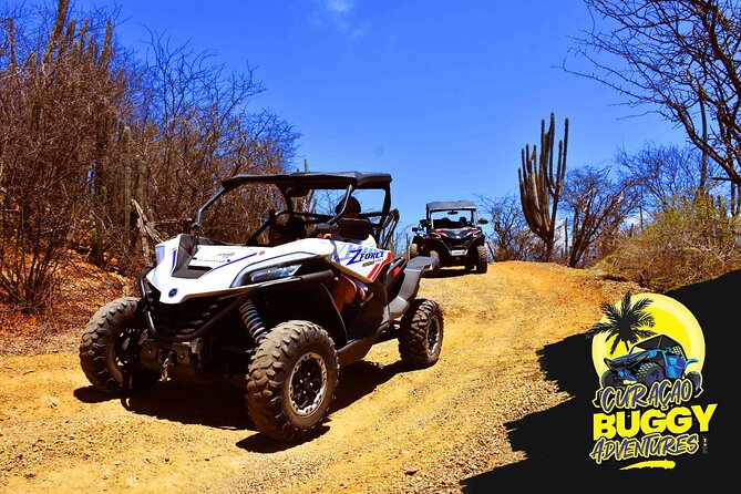 2-Hour Buggy Adventure Tour in Curacao - Key Points