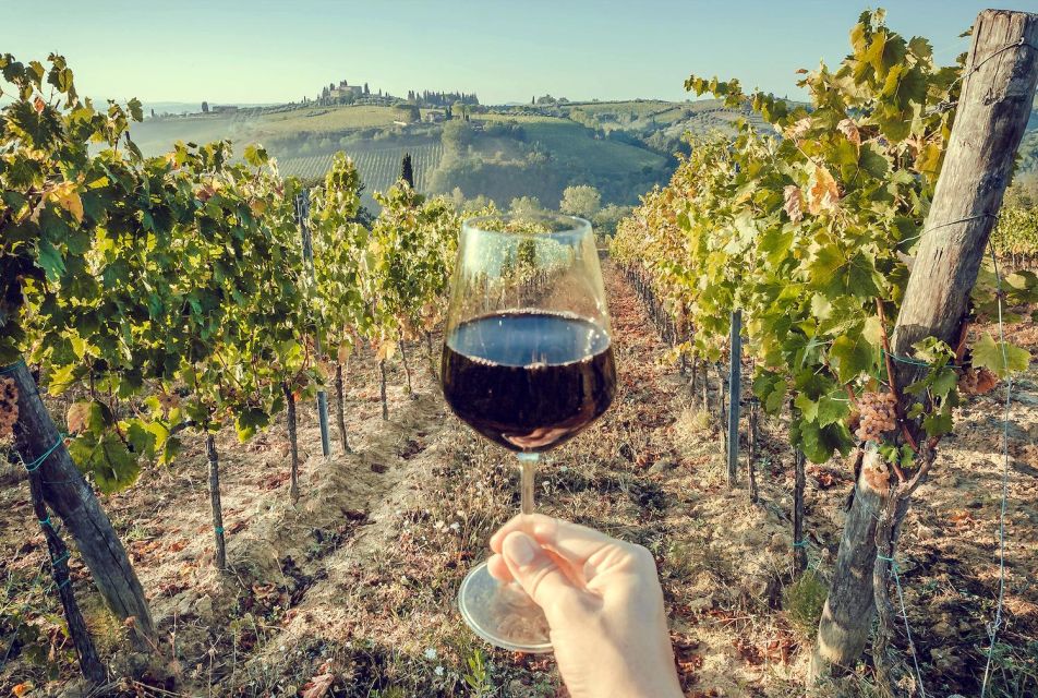 2 Wineries Chianti Wine Tasting Private Tour - Key Points