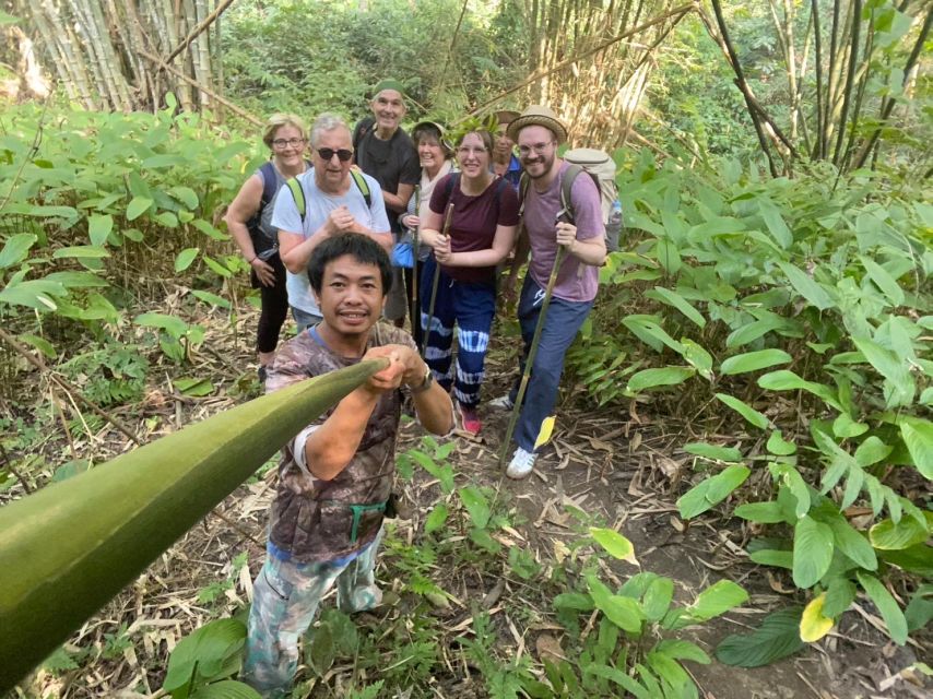 1 Day Trekking : Chiang Rai Popular Activity,Fun in Nature. - Pricing and Booking