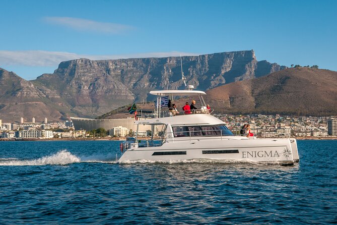 1 Hour Coastal Catamaran Cruise From Cape Town - Meeting and Pickup