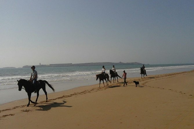 1 Hour Horse Ride on the Beach of Essaouira - Included in the Experience