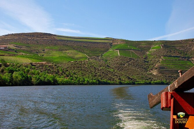 1-Hour Rabelo Boat Trip in Pinhão - Customer Feedback