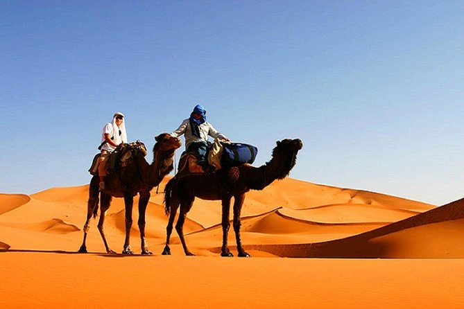 10 Days Tour From Casablanca, Morocco - Accommodation and Transport