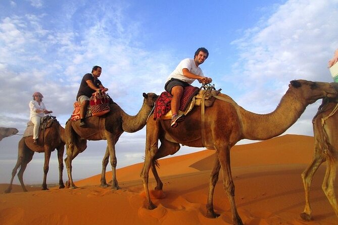 12 Days Private Luxury Sightseeing Tour in Morocco - Accommodation and Dining