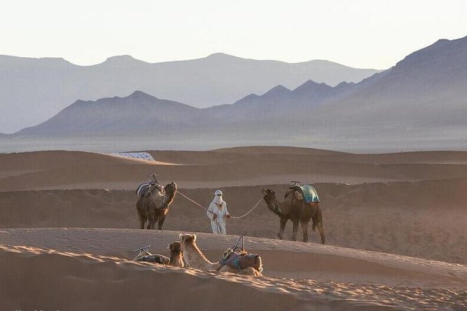 2-Days Zagora Desert Tour From Marrakech - Pickup and Drop-off Information