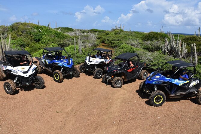 2-Hour Buggy Adventure Tour in Curacao - Meeting and Pickup Location