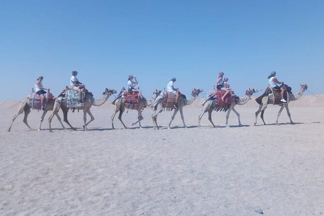 2 Hours Horse Riding on the Sea and Desert- Hurghada - Pickup and Transfer Details