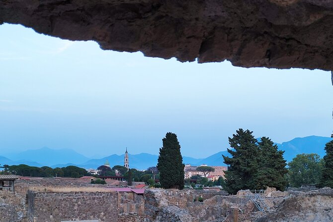 2 Hours Private Tour in Pompeii With Archaeologist - Inclusions and Exclusions