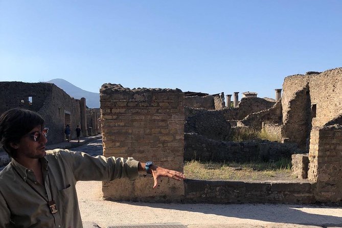 2 Hours Walking Tour in Pompeii With an Archaeologist - Pricing and Availability