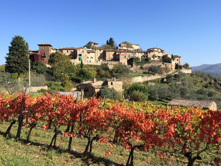 2 Wineries Chianti Wine Tasting Private Tour - Inclusions